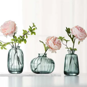 Ваза для сухих цветов в Скандинавской гостиной, Креативное Прозрачное стекло, Простые Гидропонные растения, Бутылка для украшения дома. Мебель