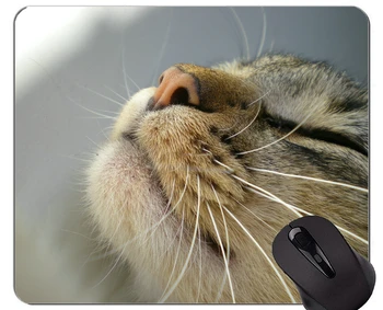 Коврик для мыши с прошитым краем, спящее животное кошка, Аксессуары для домашнего офиса, Компьютерные Коврики для мыши
