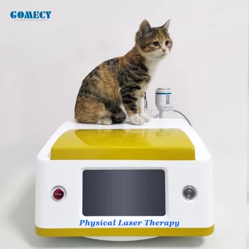Лазерный физиотерапевтический инструмент для облегчения боли при простатите, мышцах плеча, артрите колена, Ревматическом устройстве для лазерной терапии домашних животных