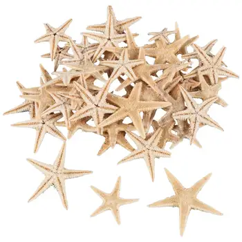 Маленькие морские звезды Star Sea Shell Beach Craft 0,4-1,2 дюйма 90 шт.